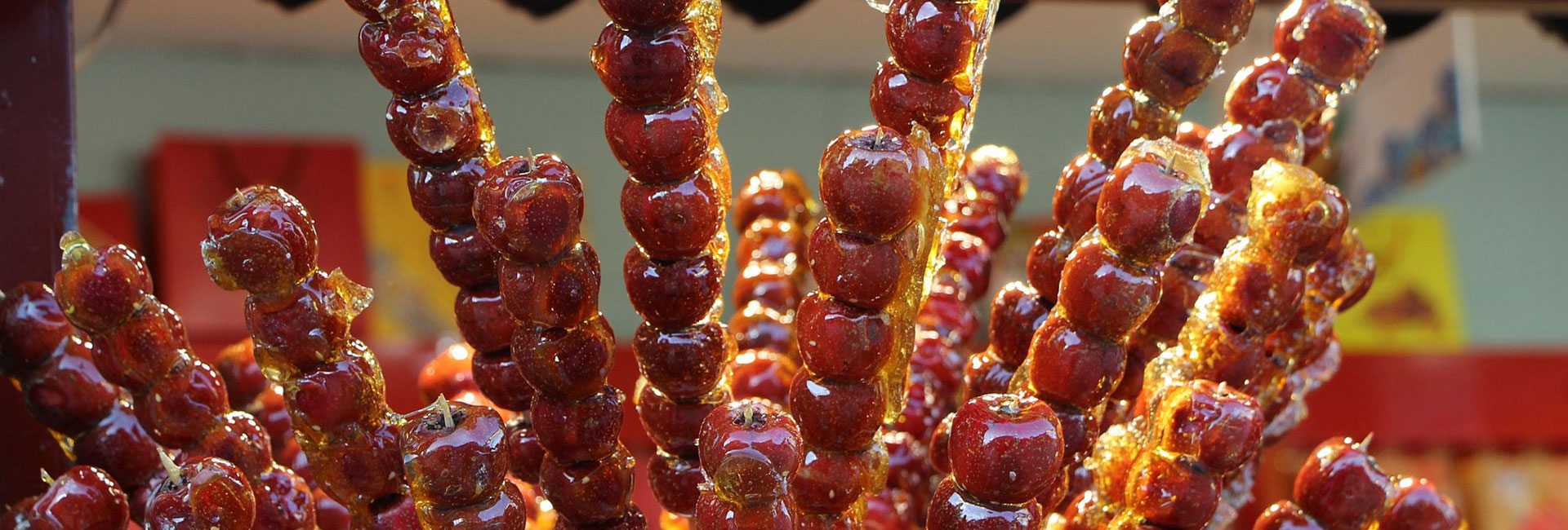 Embark on a culinary journey